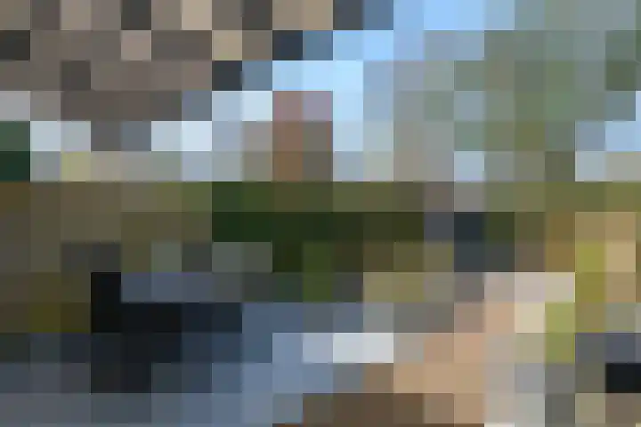 Twijndersdonk 105 Apeldoorn thumbnail 34