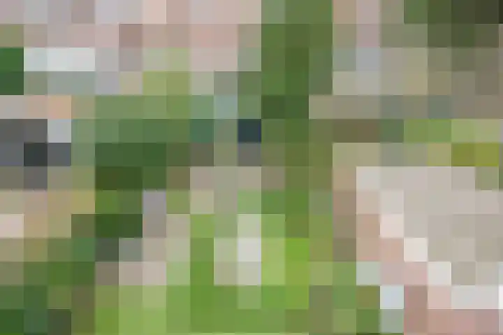 Twijnderslaan 20 Haarlem thumbnail 26