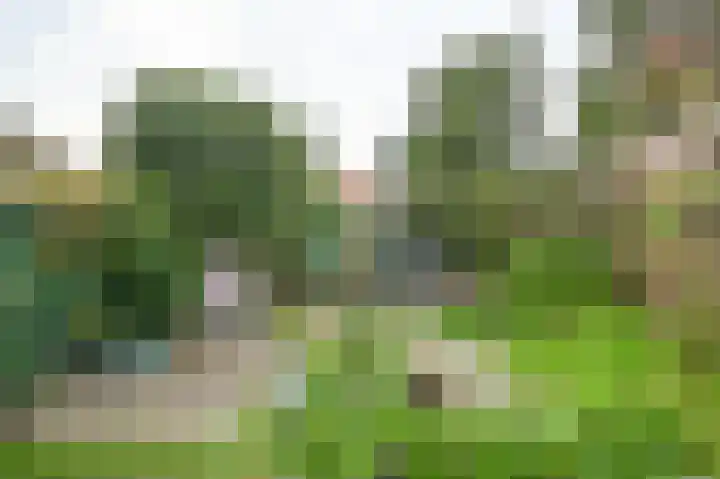 Twijnderslaan 20 Haarlem thumbnail 40