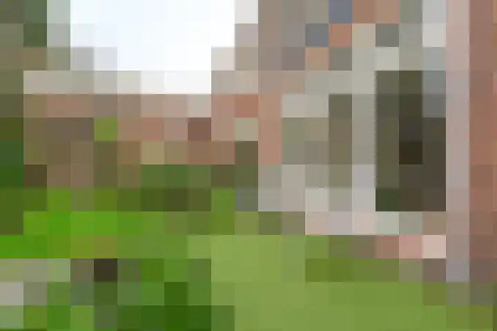 Twijnderslaan 20 Haarlem thumbnail 42