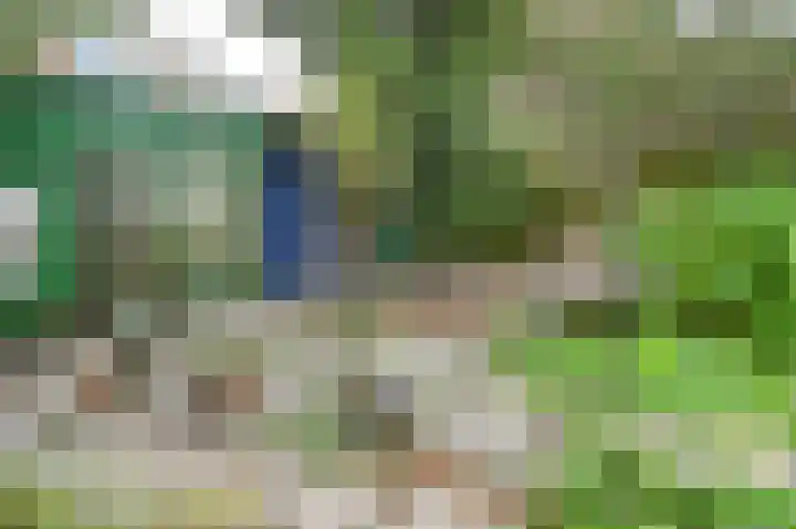 Twijnderslaan 20 Haarlem thumbnail 43