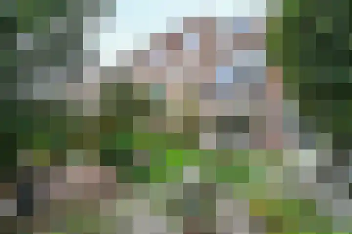 Twijnderslaan 20 Haarlem thumbnail 44