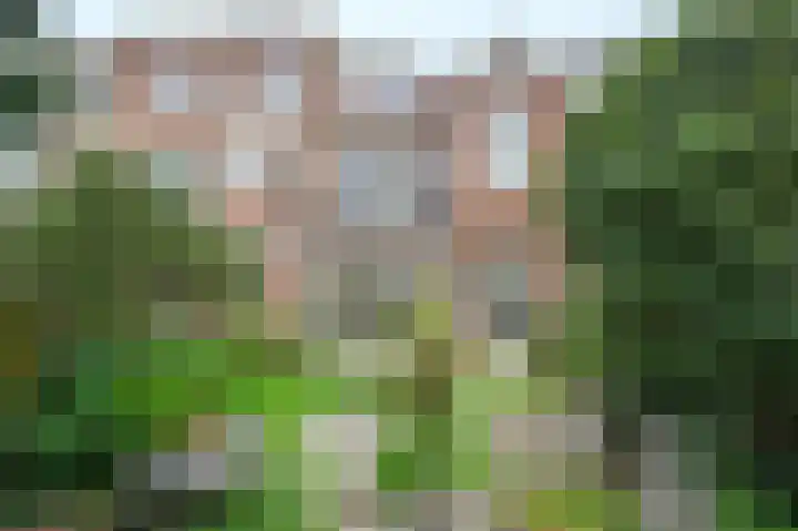 Twijnderslaan 20 Haarlem thumbnail 45