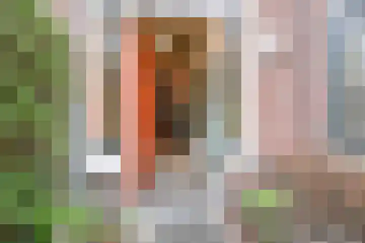 Twijnderslaan 20 Haarlem thumbnail 46