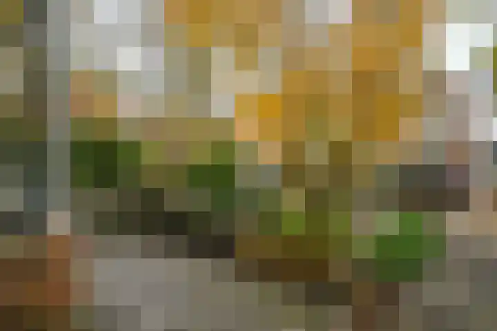 Twijnderslaan 20 Haarlem thumbnail 47
