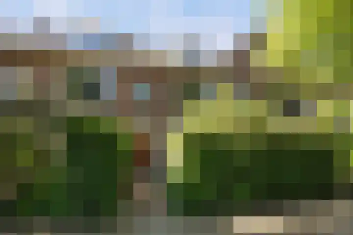 Twijnderslaan 30 dans Haarlem