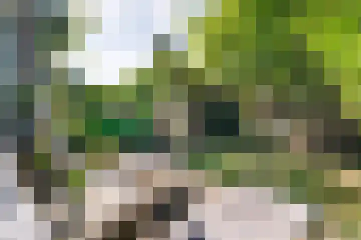 Twijnderslaan 30 Haarlem thumbnail 10