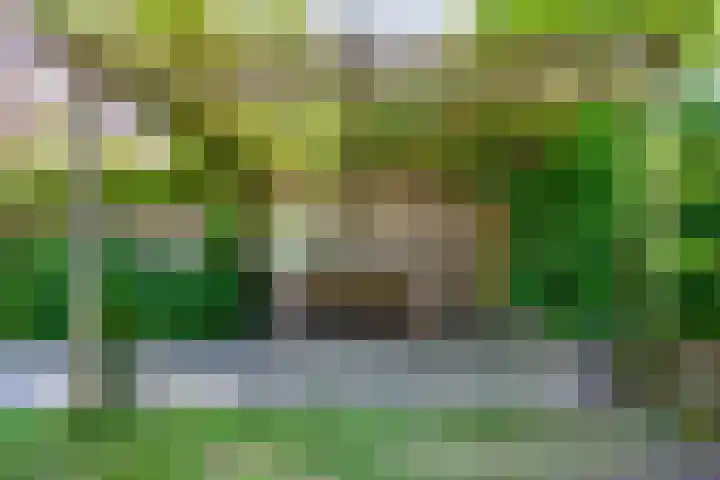 Twijnderslaan 30 Haarlem thumbnail 12