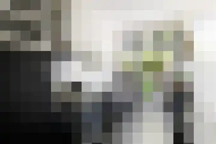 Twijnderslaan 30 Haarlem thumbnail 13