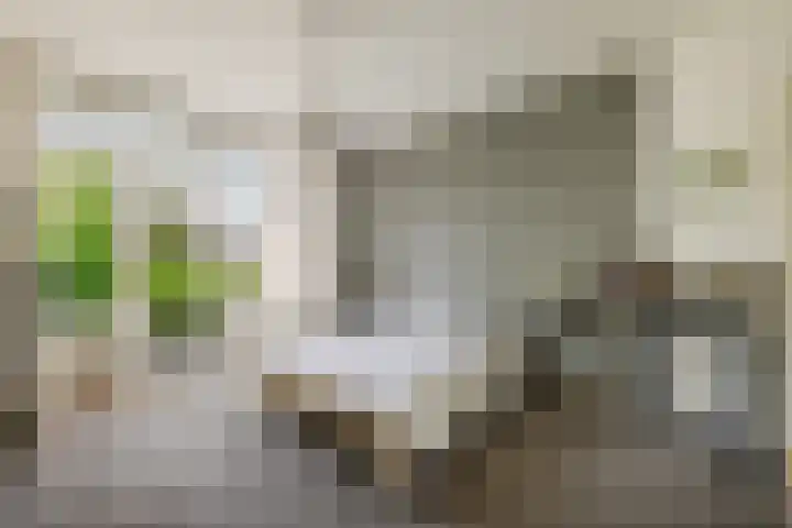 Twijnderslaan 30 Haarlem thumbnail 18