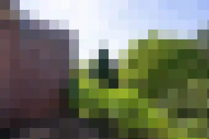 Twijnderslaan 30 Haarlem thumbnail 20