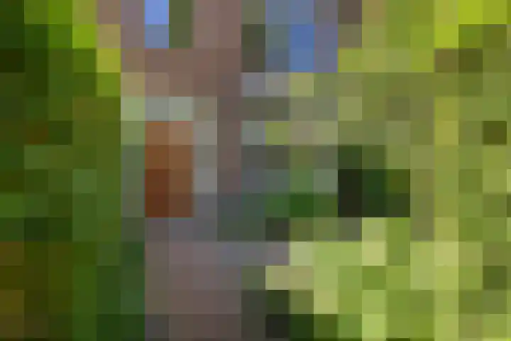 Twijnderslaan 30 Haarlem thumbnail 32