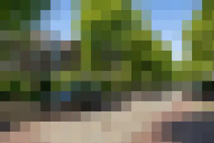 Twijnderslaan 30 Haarlem thumbnail 33