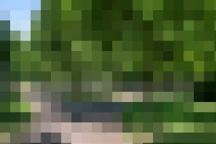 Twijnderslaan 30 Haarlem thumbnail 34