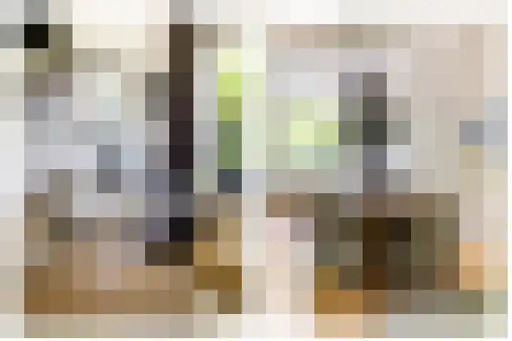 Twijnderslaan 30 Haarlem thumbnail 8