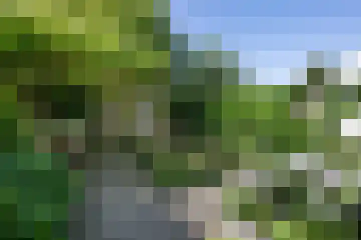 Twijnderslaan 30 Haarlem thumbnail 9