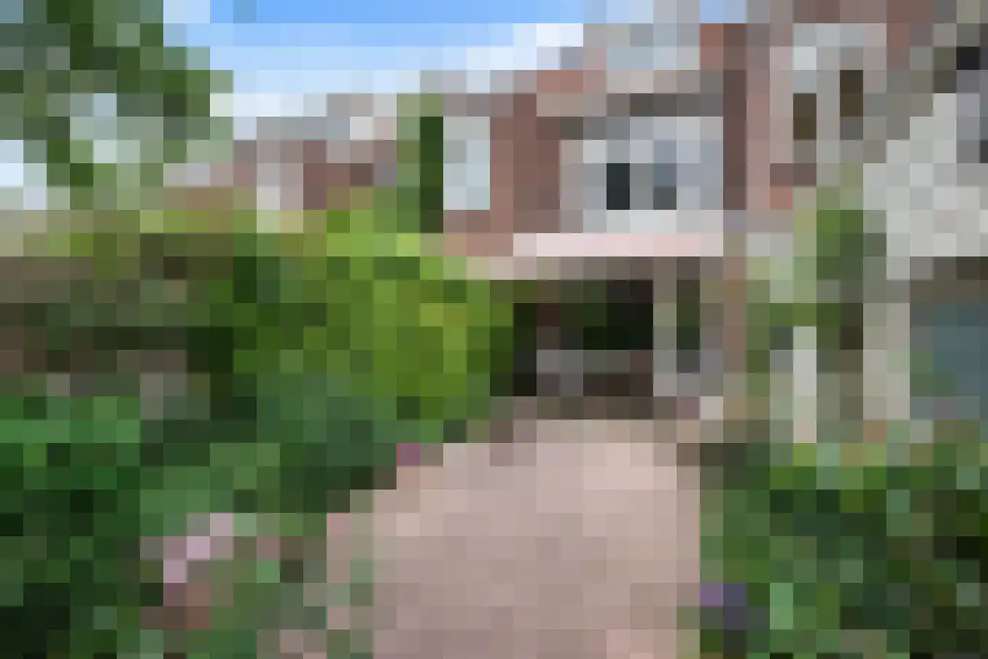 Twijnderslaan 32 Haarlem thumbnail 14