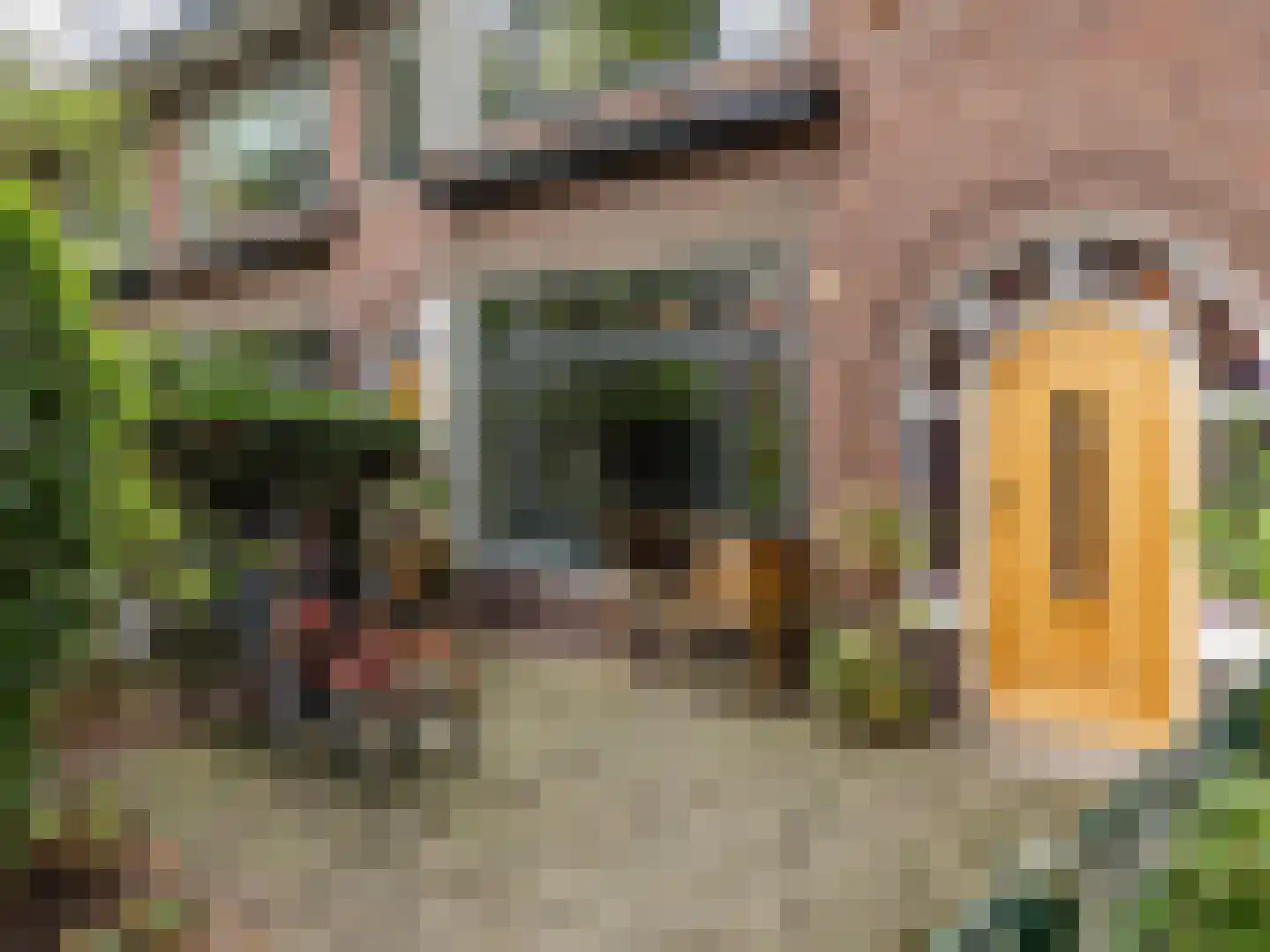Twijnderslaan 40 Haarlem thumbnail 7