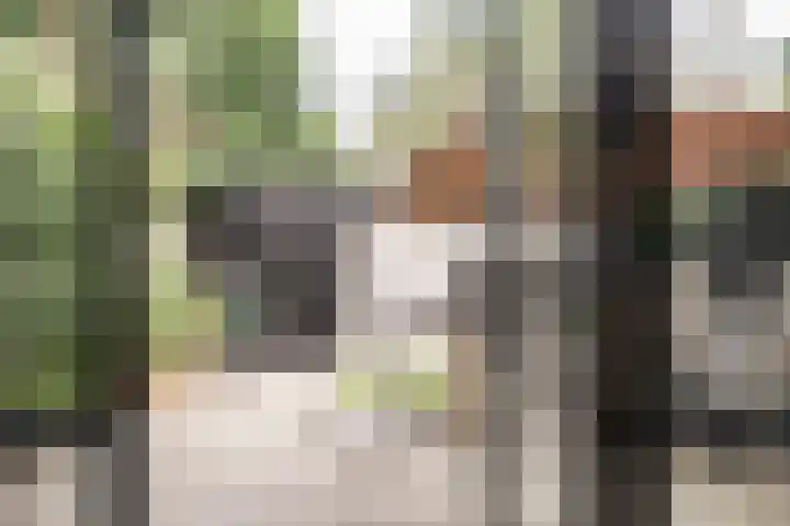 Twijnderslaan 43 Haarlem thumbnail 18