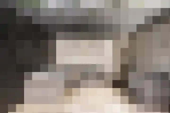 Twijnderslaan 43 Haarlem thumbnail 20