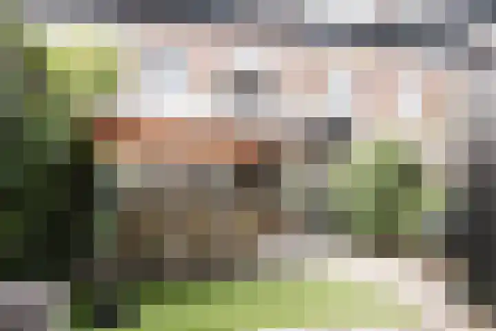 Twijnderslaan 43 Haarlem thumbnail 21