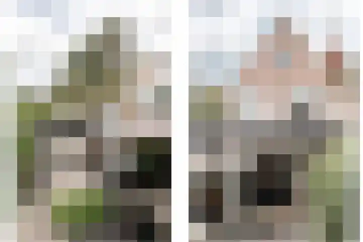 Twijnderslaan 43 Haarlem thumbnail 22