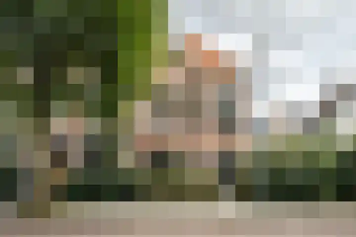 Twijnderslaan 43 Haarlem thumbnail 47