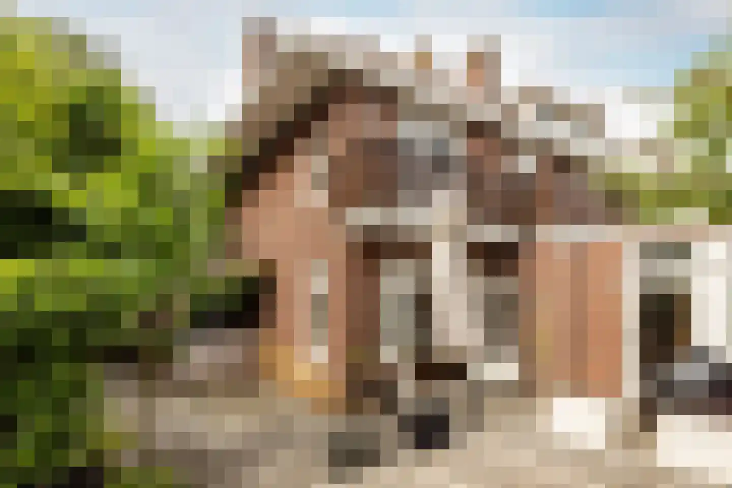 Twijnderslaan 53 Haarlem thumbnail 35