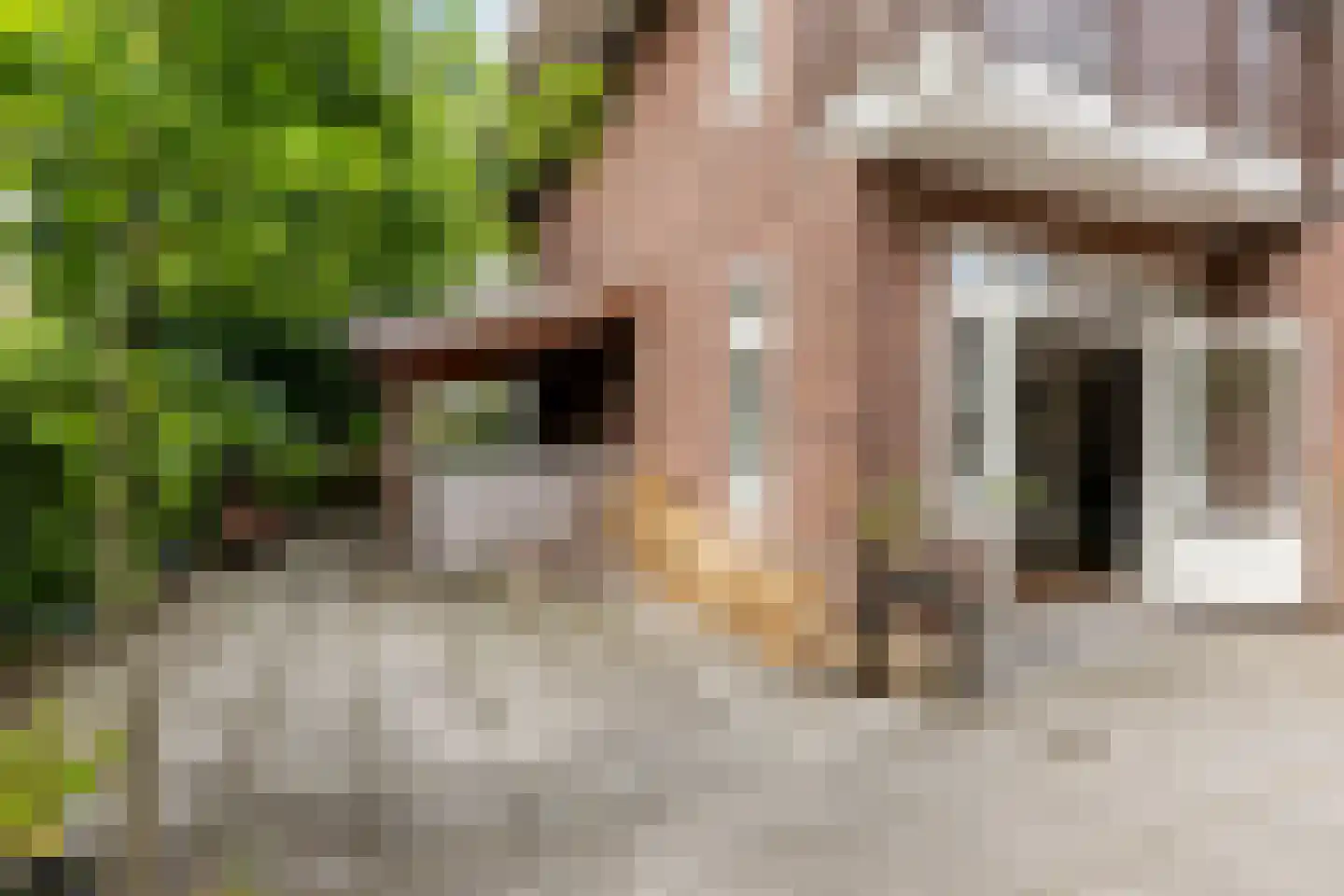 Twijnderslaan 53 Haarlem thumbnail 40