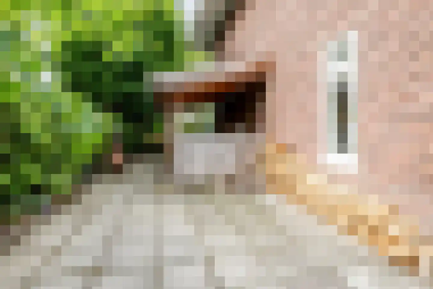 Twijnderslaan 53 Haarlem thumbnail 41