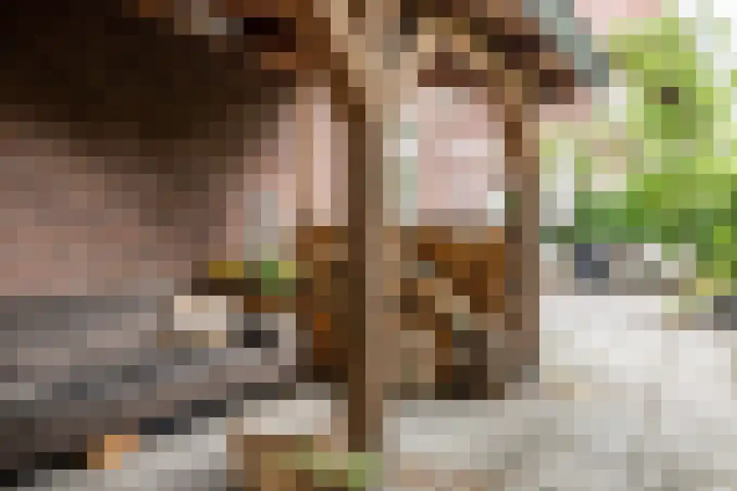 Twijnderslaan 53 Haarlem thumbnail 42