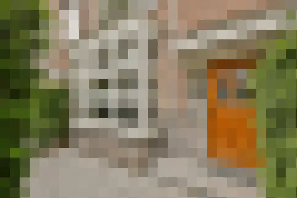 Twijnderslaan 8 Haarlem thumbnail 4