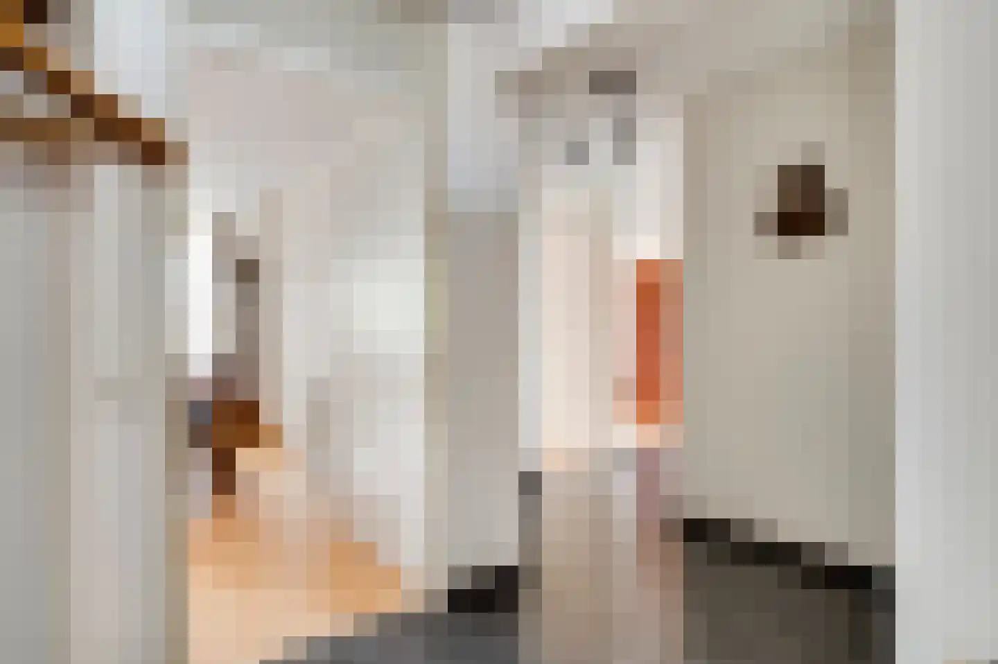 Twijnderstraat 24 A Weert thumbnail 7
