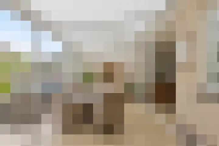 Twijnen 11 Oudewater thumbnail 13