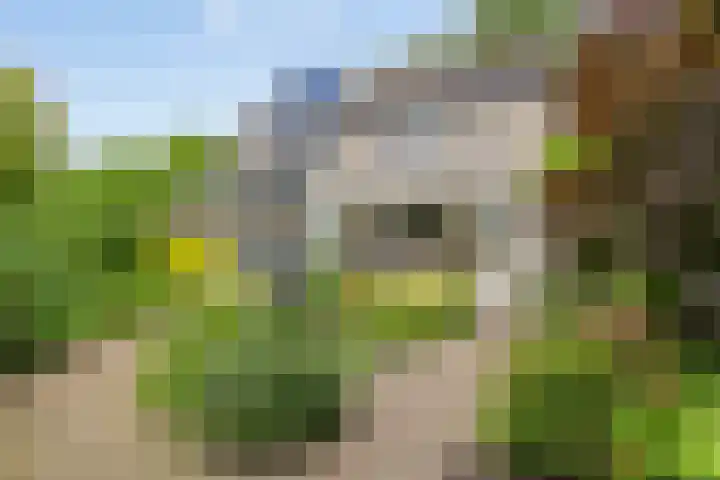 Twijnen 11 Oudewater thumbnail 16