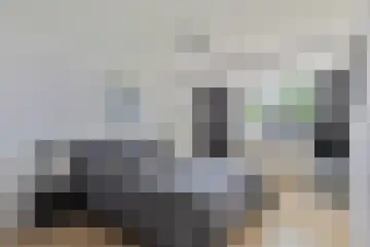 Twijnen 11 Oudewater thumbnail 19