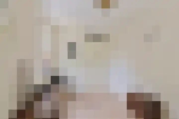 Twijnen 11 Oudewater thumbnail 26