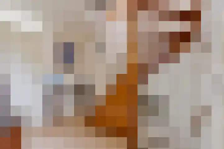 Twijnen 11 Oudewater thumbnail 27
