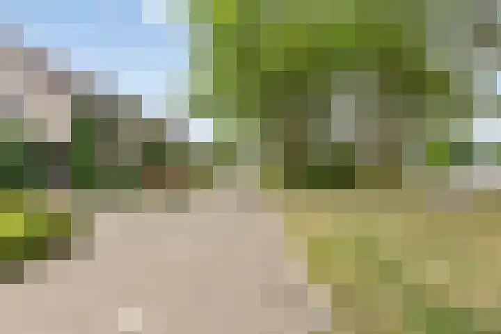 Twijnen 11 Oudewater thumbnail 32