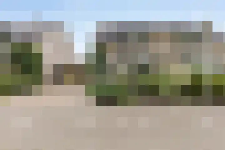 Twijnen 11 Oudewater thumbnail 33