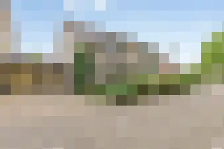Twijnen 11 Oudewater thumbnail 40