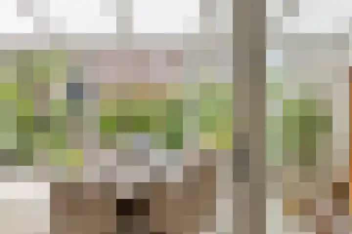 Twijnen 11 Oudewater thumbnail 8