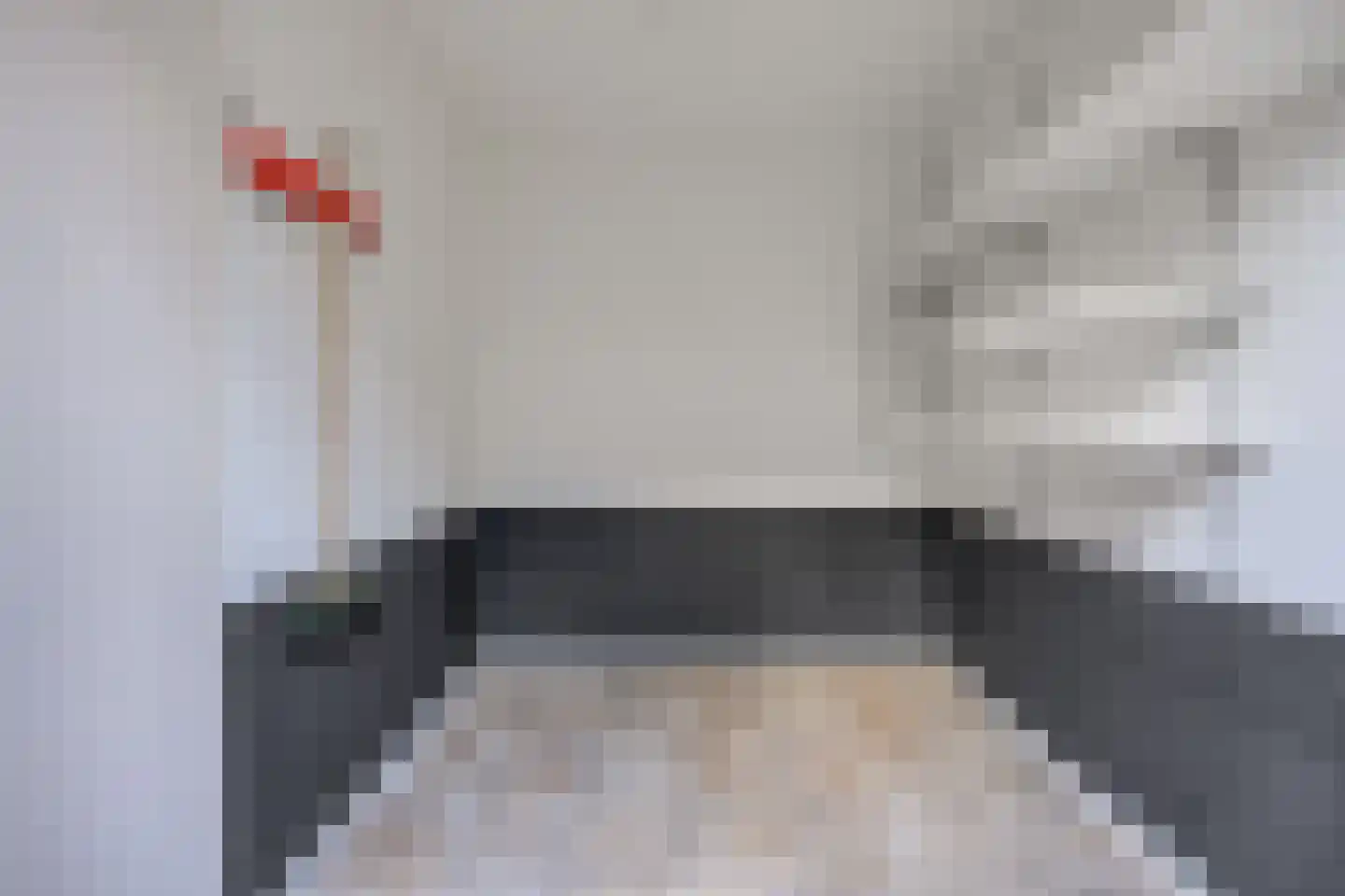 Twijnen 25 Oudewater thumbnail 10