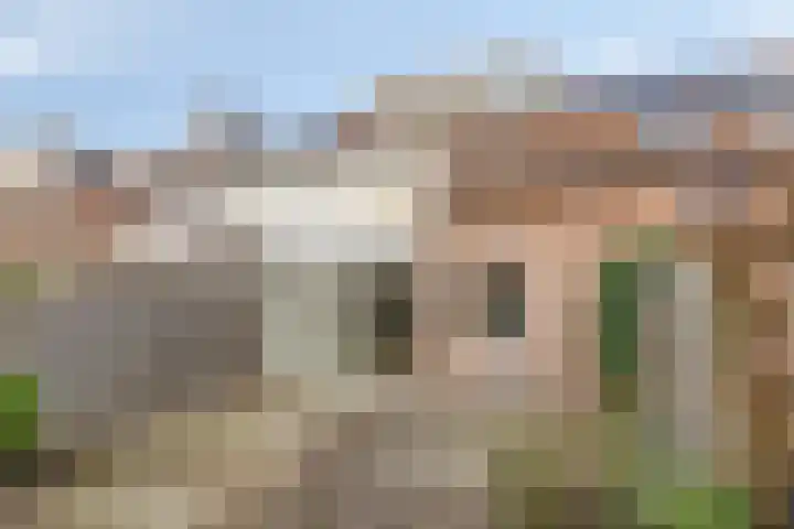 Twijnen 25 Oudewater thumbnail 12