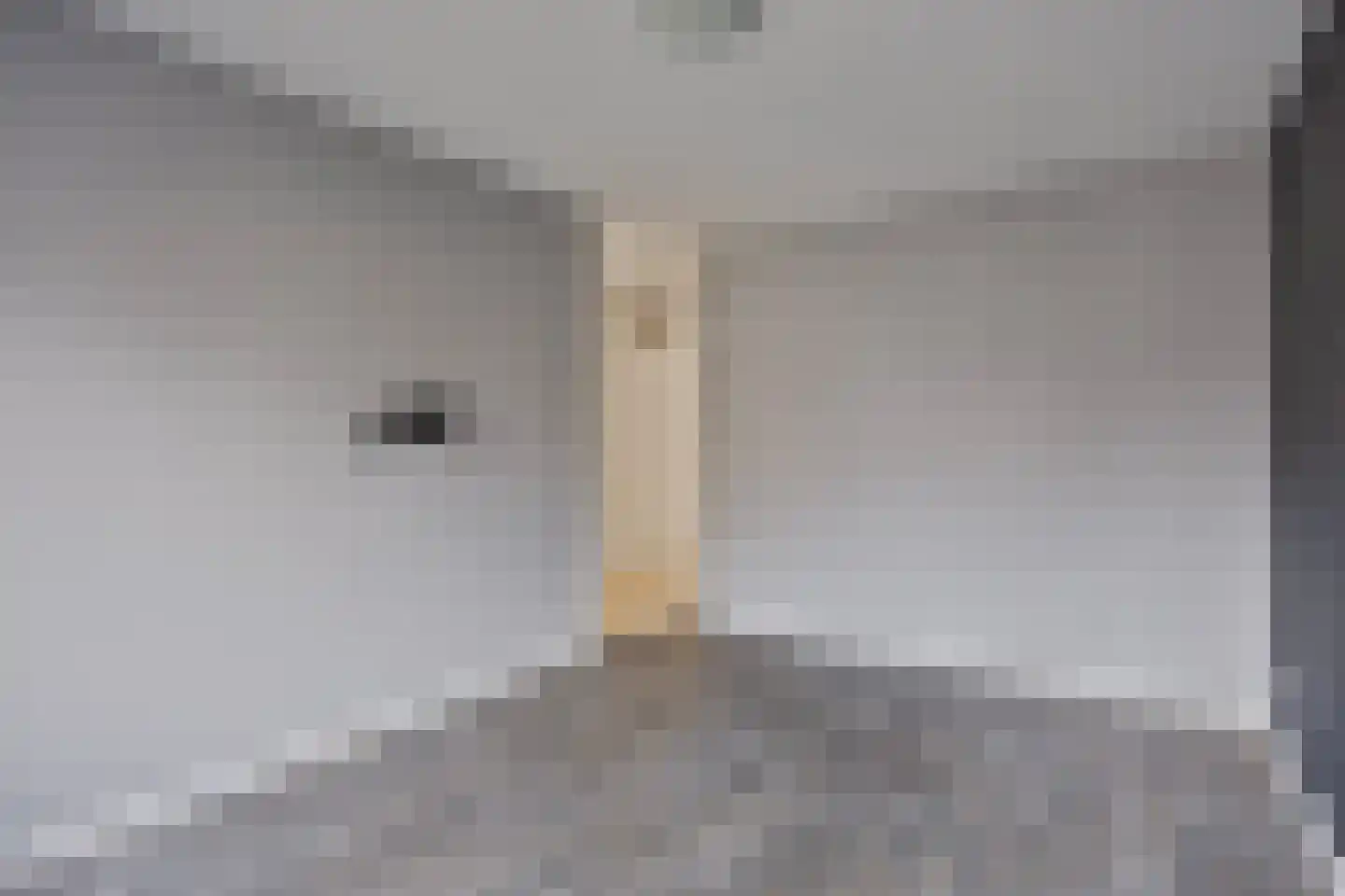 Twijnen 25 Oudewater thumbnail 18