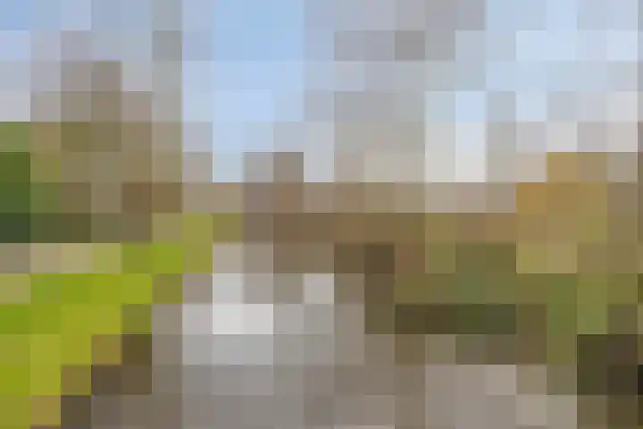 Twijnen 25 Oudewater thumbnail 31