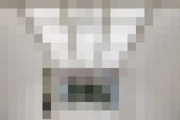 Twijnen 25 Oudewater thumbnail 5