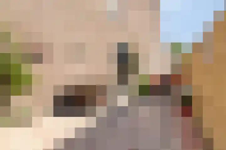 Twijnen 33 Oudewater thumbnail 19