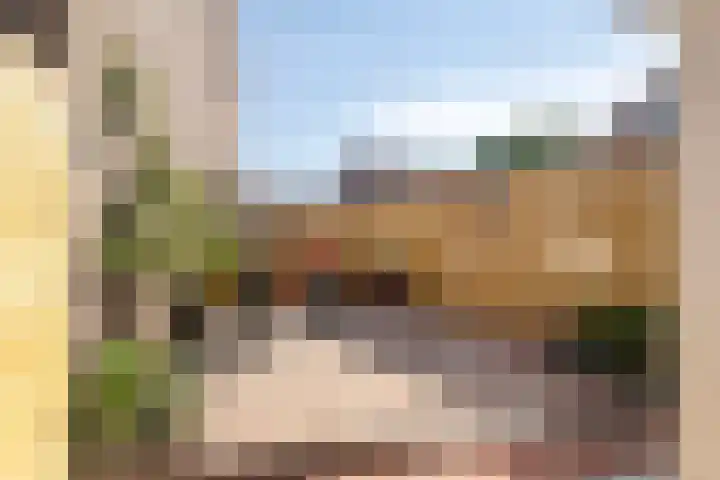Twijnen 33 Oudewater thumbnail 20