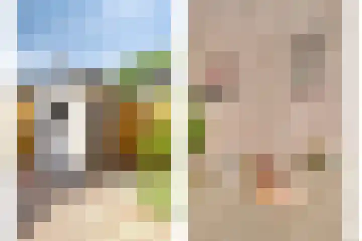 Twijnen 33 Oudewater thumbnail 22